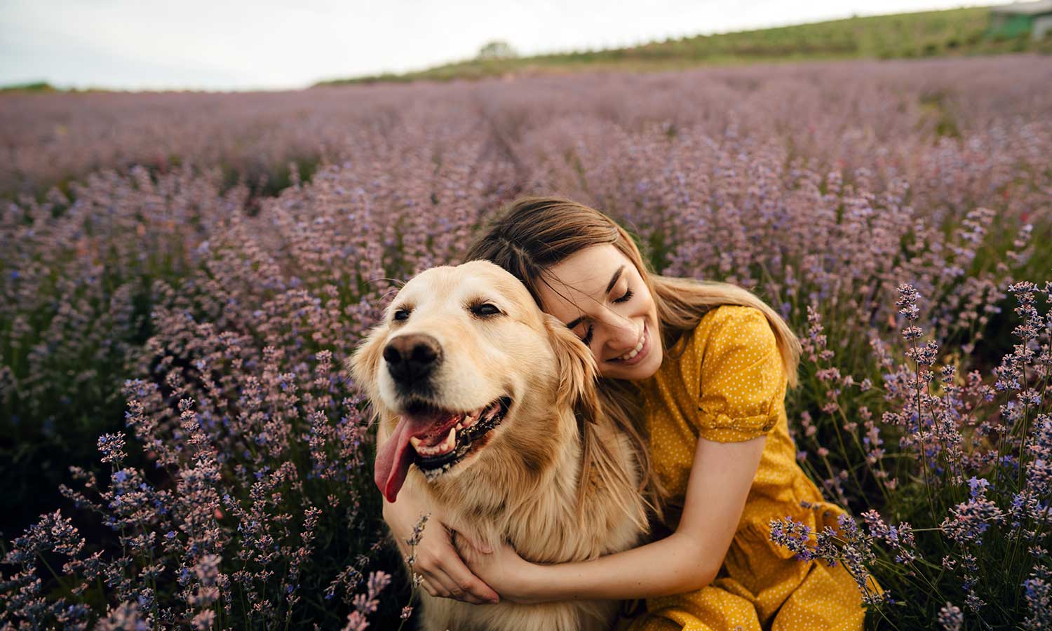 A golden retriever with their best friend