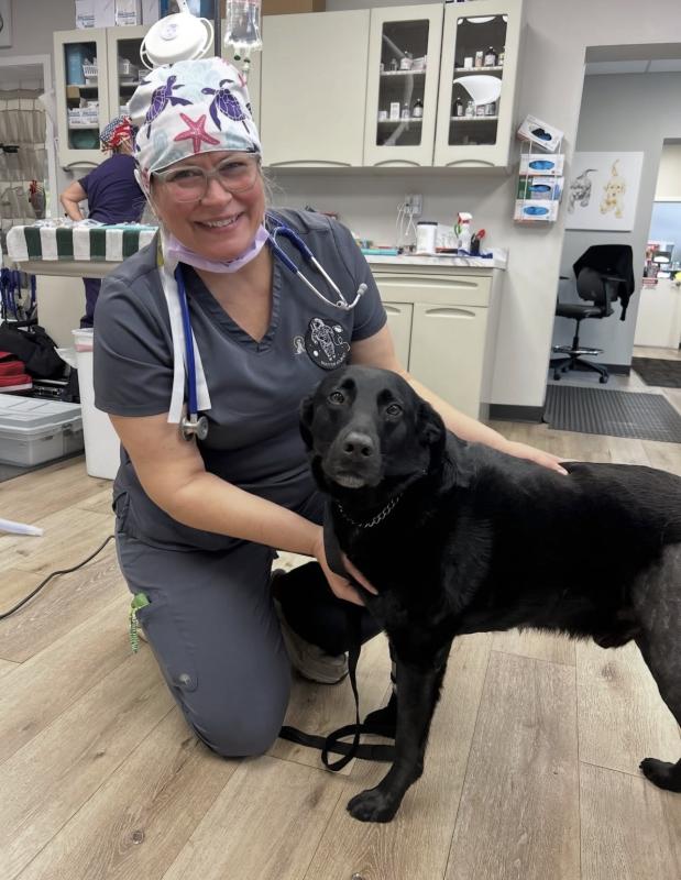 Christine Hadesty , Veterinary Nurse, CVT Christine Hadesty , Veterinary Nurse, CVT